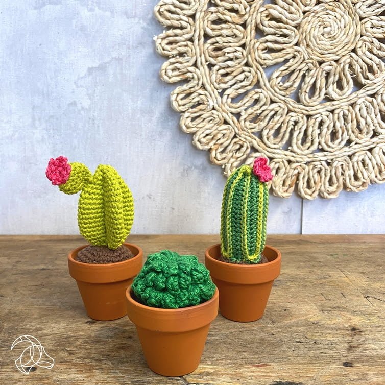 Haakpakket Cactussen