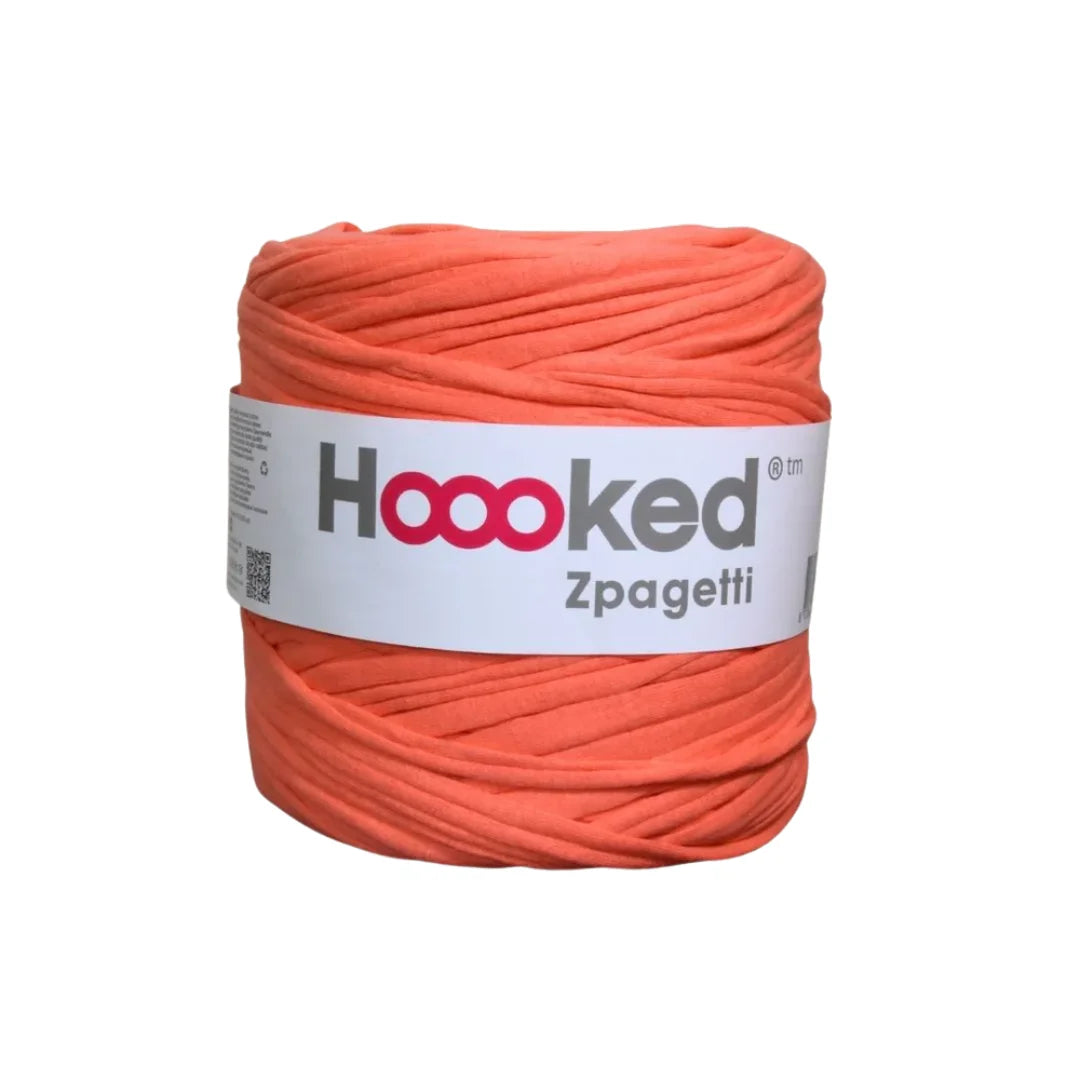 Hoooked Zpagetti