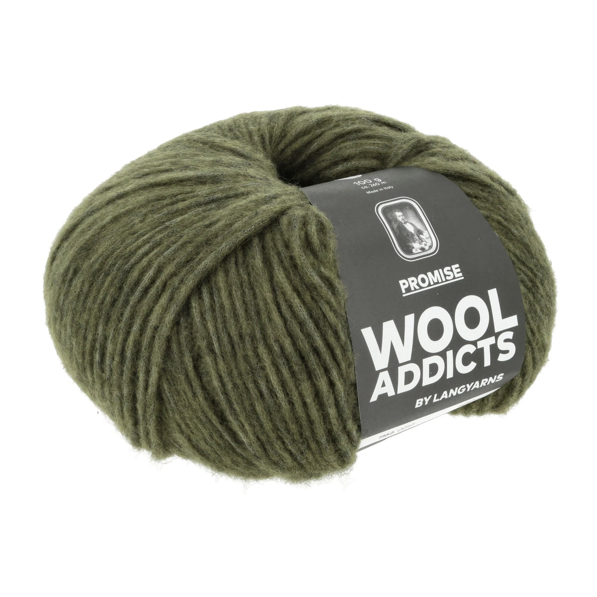 Lang Yarns Promise in kleur Fern 0217, bol garen met Wool Addicts-banderol op een witte achtergrond.